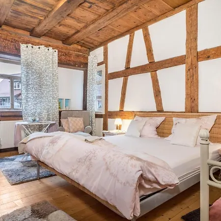 Lemkamp Gross Appartement Markdorf Buitenkant foto