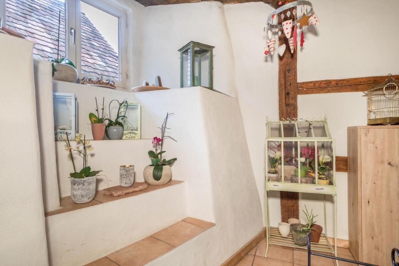 Apartment Lemkamp